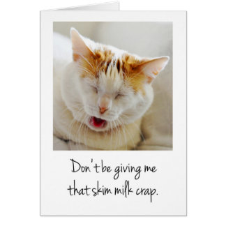 Cute Complaining Cat