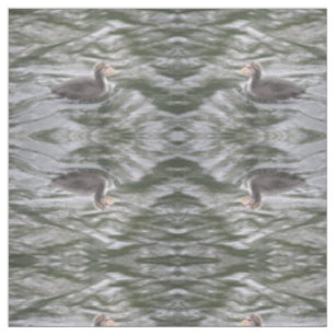 Cute Coot Chick on Choppy Waters Patterted Animal Stof