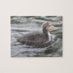 Cute Coot Chick on Choppy Waters Puzzle