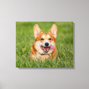 Cute Corgi die in de gras speelt Canvas Afdruk