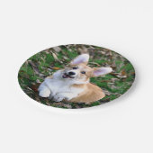 Cute Corgi Dog Leaping Papieren Bordje (Gekanteld)