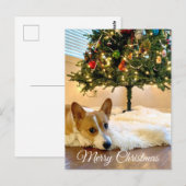 Cute Corgi onder de kerstboom Briefkaart (Voorkant / Achterkant)