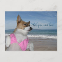 Cute Corgi Summer Vacation wou dat je hier Kaart w