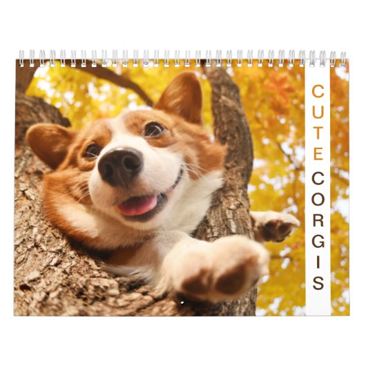 Cute Corgis! Puppy/hond Kalender (Hoes)