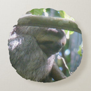 Cute Costa Rica luiaard ronde kussen