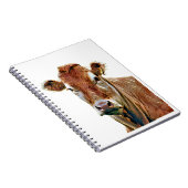 CUTE COW NOTITIEBOEK (Rechterzijde)