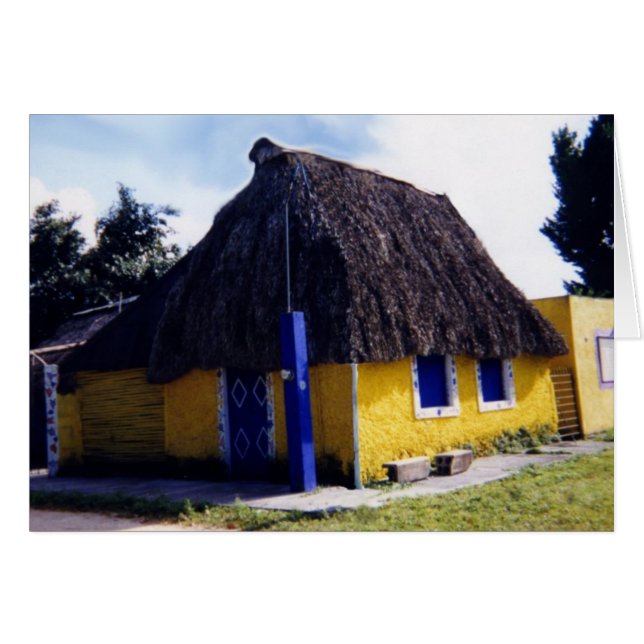 Cute Cozumel Toit de chaume Maison (Devant horizontal)