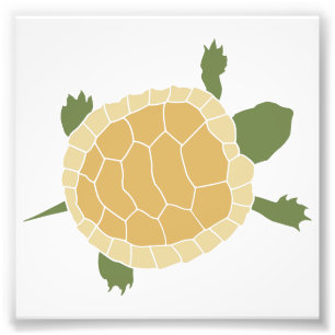 Cute Crawling Little Turtle Tortoise Foto Afdruk