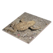 Cute Crawling Toad Tile Tegeltje (Zijkant)