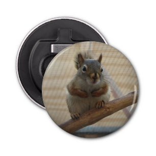 Cute Crouching Squirrel op Branch Button Flesopener