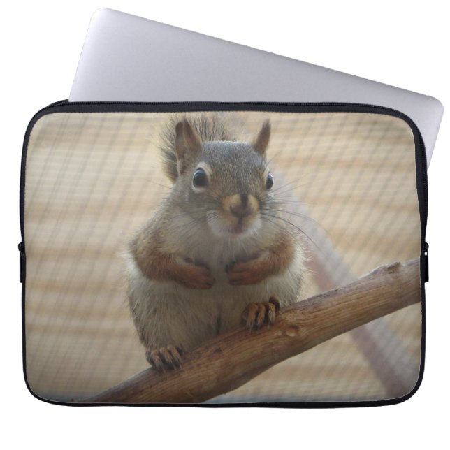 Cute Crouching Squirrel op Branch Laptop Sleeve (Voorkant)