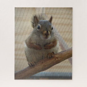 Cute Crouching Squirrel op Branch Legpuzzel