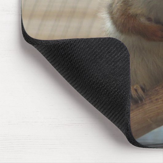 Cute Crouching Squirrel op Branch Muismat (Hoek)