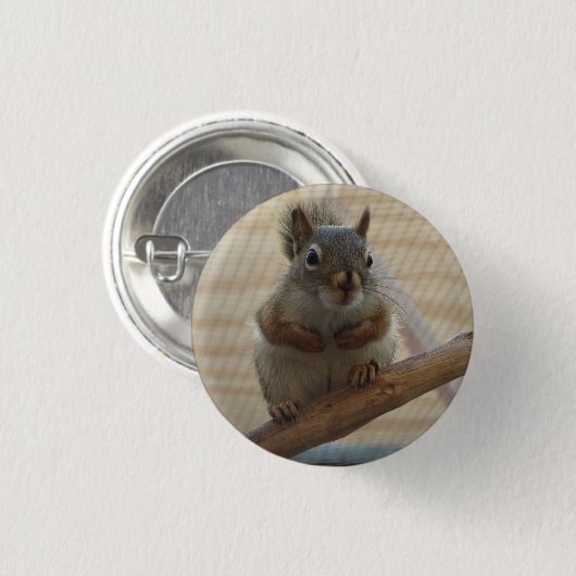 Cute Crouching Squirrel op Branch Ronde Button 3,2 Cm (Voorkant /achterkant)