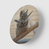 Cute Crouching Squirrel op Branch Ronde Klok (Hoek)