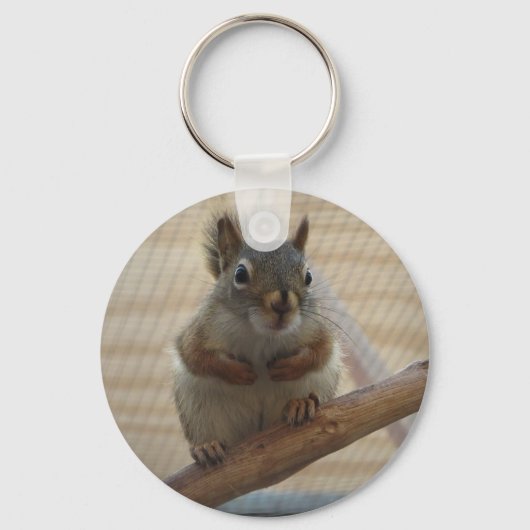 Cute Crouching Squirrel op Branch Sleutelhanger (Voorkant)
