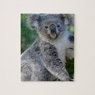 Cute cuddly Australian koala Legpuzzel