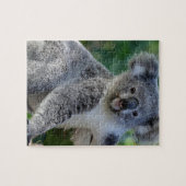 Cute cudly Australian koala Legpuzzel (Horizontaal)