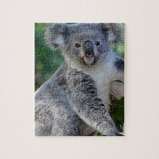 Cute cudly Australian koala Legpuzzel (Verticaal)