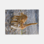 Cute Cudly Cat Kittens Friends Stony Path Foto - Fleece Deken (Voorkant (Horizontaal))