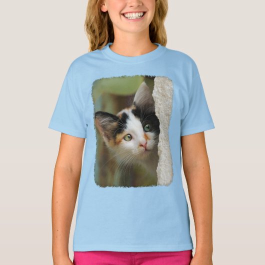 Cute Curious Cat Kitten Prying Eyes Photo - Raglan T-shirt (Voorkant)