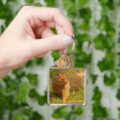 Cute Curious Columbian Ground Squirrel Sleutelhanger (Hand)