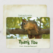 Cute Curious écureuil Nature Photographie Merci (Devant / Derrière)