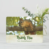 Cute Curious écureuil Nature Photographie Merci (Debout devant)