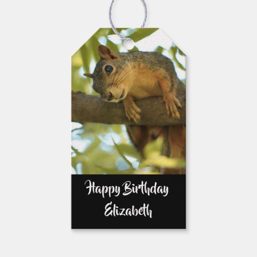 Cute & Curious Squirrel Natuur Foto: Birthday Cadeaulabel (Voorkant)