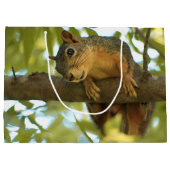 Cute & Curious Squirrel Natuur Foto: Birthday Groot Cadeauzakje (Achterkant)