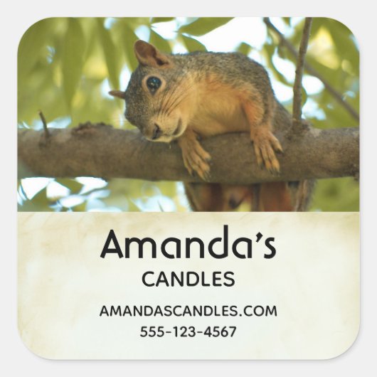 Cute & Curious Squirrel Natuur Foto - Business Vierkante Sticker (Voorkant)