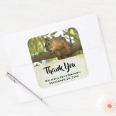 Cute & Curious Squirrel Natuur Foto - Hartelijk da Vierkante Sticker (Envelop)