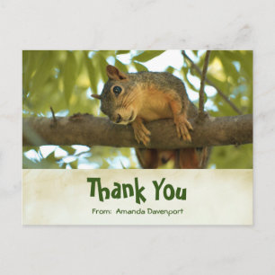 Cute Curious Squirrel Natuur Fotografie Briefkaart