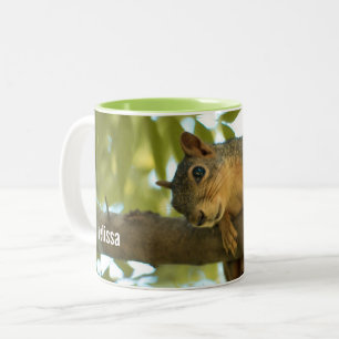 Cute Curious Squirrel Natuur Fotografie Tweekleurige Koffiemok