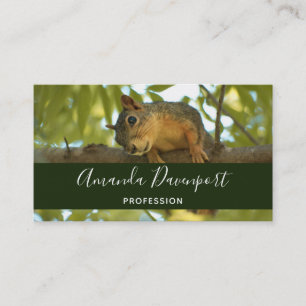 Cute Curious Squirrel Natuur Fotografie Visitekaartje