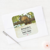 Cute & Curious Squirrel Natuur Vierkante Sticker (Envelop)