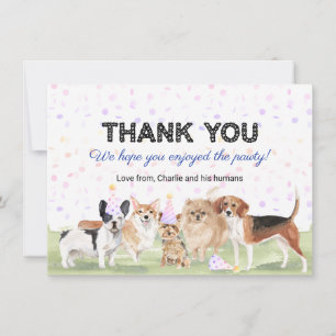 Cute Custom Pet Pawty Blauwe Hond Verjaardagsfeest Bedankkaart