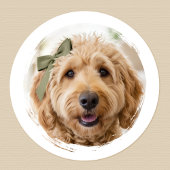 Cute Custom Photo Dog Pet Modern Printed Ronde Sticker