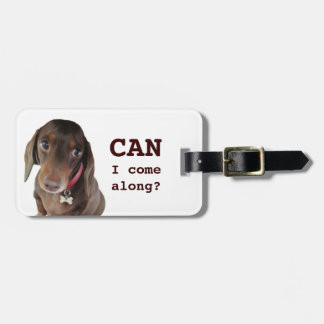 Cute dachshund bagagelabel