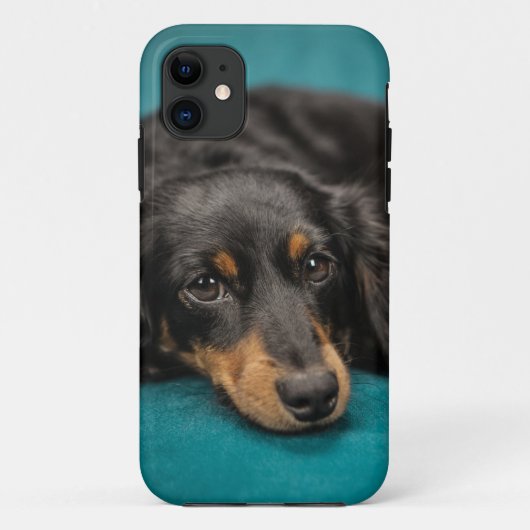 Cute Dachshund Laying Down Case-Mate iPhone Case (Achterkant)