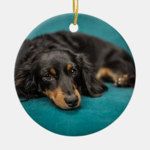 Cute Dachshund Laying Down Keramisch Ornament