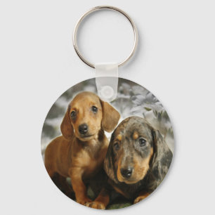 Cute Dachshund-Puppies (bruin/zwart) Sleutelhanger