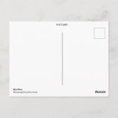 Cute Dachshund Wearing Socks Briefkaart (Achterkant)