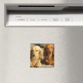 Cute dachshunds magneet (Insitu (Vaatwasser))