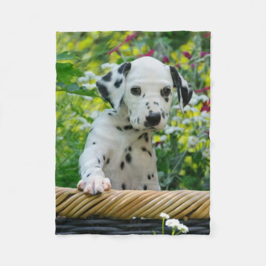 Cute Dalmatian Dog Puppy, comfy Fleece Deken (Voorkant)