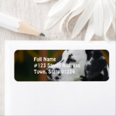 Cute Dalmatian Puppy Etiket (Insitu)