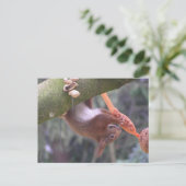 Cute Dangling Squirrel DIY Briefkaart (Staand voorkant)