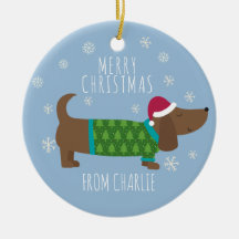 Cute Daschund-fotoronde met Kerstmis