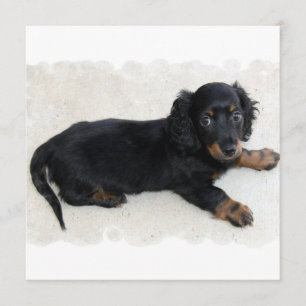 Cute Daschund-uitnodigingen Kaart
