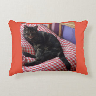 Cute Dave Accent Cushion Kussen